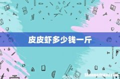 皮皮虾多少钱一斤