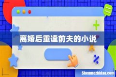 离婚后重逢前夫的小说