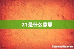 21是什么意思