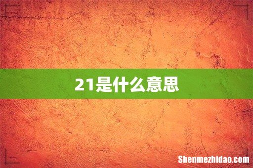 21是什么意思