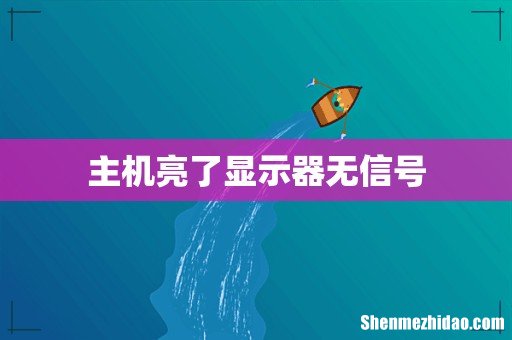主机亮了显示器无信号