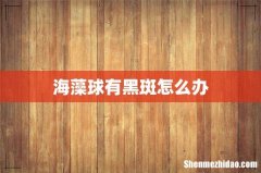 海藻球有黑斑怎么办