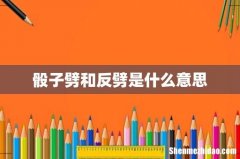 骰子劈和反劈是什么意思