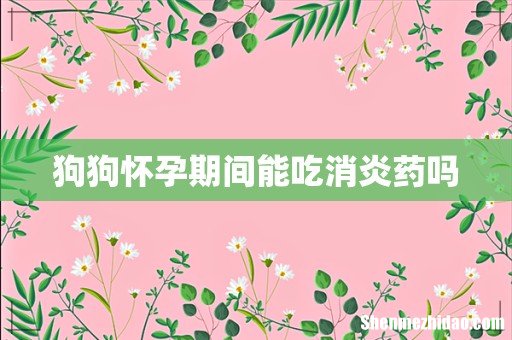 狗狗怀孕期间能吃消炎药吗