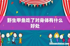 野生甲鱼吃了对身体有什么好处