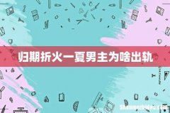 归期折火一夏男主为啥出轨