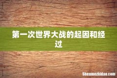 第一次世界大战的起因和经过