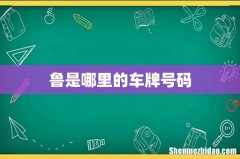 鲁是哪里的车牌号码