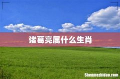 诸葛亮属什么生肖