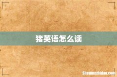 猪英语怎么读