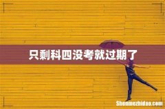 只剩科四没考就过期了