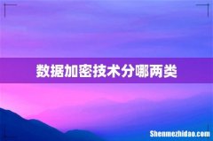 数据加密技术分哪两类