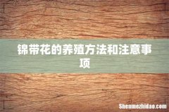 锦带花的养殖方法和注意事项