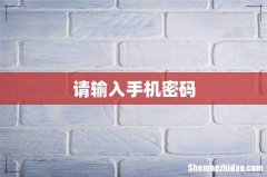 请输入手机密码