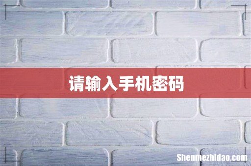 请输入手机密码