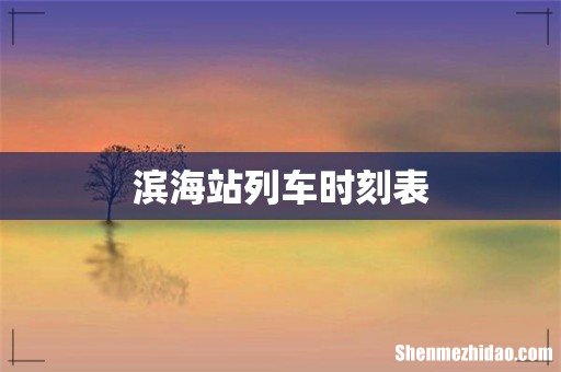 滨海站列车时刻表