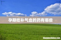 孕期吃补气血的药有哪些