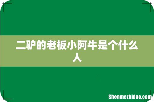 二驴的老板小阿牛是个什么人