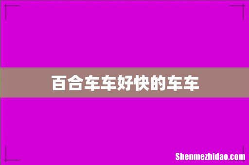 百合车车好快的车车