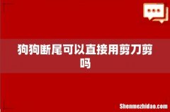 狗狗断尾可以直接用剪刀剪吗
