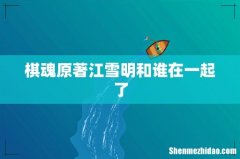 棋魂原著江雪明和谁在一起了