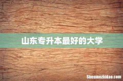 山东专升本最好的大学