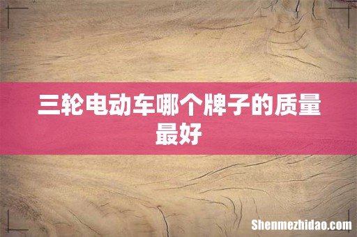 三轮电动车哪个牌子的质量最好