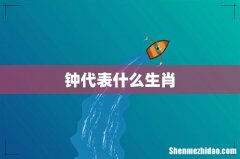 钟代表什么生肖