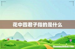 花中四君子指的是什么