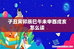 子丑寅卯辰巳午未申酉戌亥怎么读