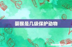 婴猴是几级保护动物