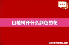 山楂树开什么颜色的花