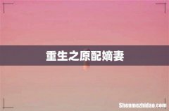重生之原配嫡妻