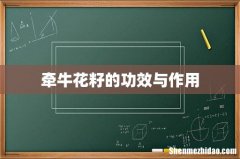 牵牛花籽的功效与作用