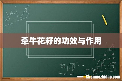 牵牛花籽的功效与作用