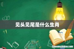 见头见尾是什么生肖