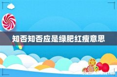 知否知否应是绿肥红瘦意思