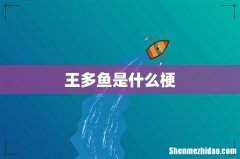 王多鱼是什么梗