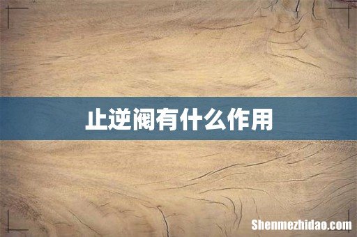 止逆阀有什么作用