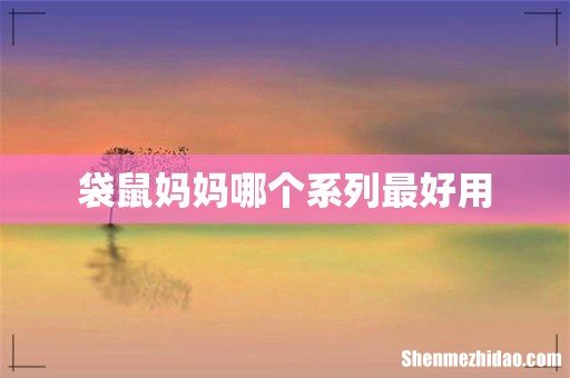 袋鼠妈妈哪个系列最好用