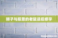 狮子与报恩的老鼠读后感字