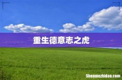 重生德意志之虎