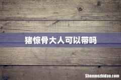 猪惊骨大人可以带吗