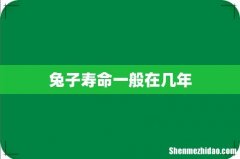 兔子寿命一般在几年