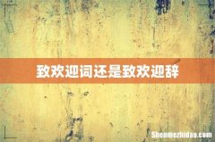 致欢迎词还是致欢迎辞