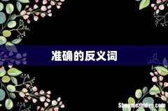 准确的反义词
