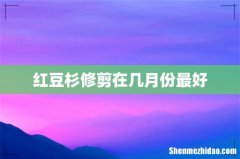红豆杉修剪在几月份最好