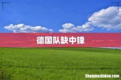 德国队缺中锋