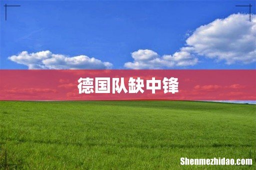 德国队缺中锋