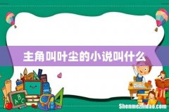 主角叫叶尘的小说叫什么